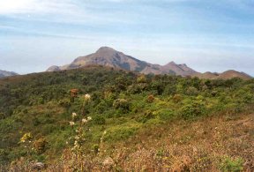 Höchster Berggipfel in Coorg