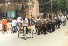 Straße in Bijapur