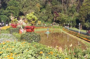 Botanischer Garten in Ooty