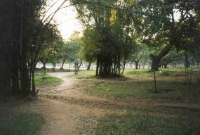 Cubbon Park