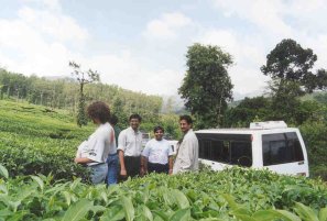 Tee-Plantage bei Kudremukh