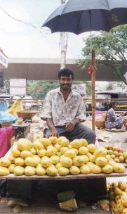 Mango-Straßenverkäufer beim City Market