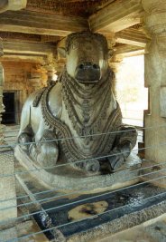 Nandi Bulle in Halebid