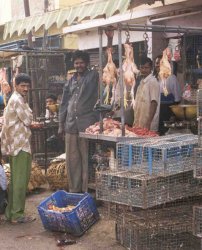 Hühnerverkauf beim Russel Market